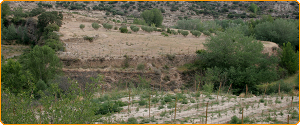 Castro del Castillejo